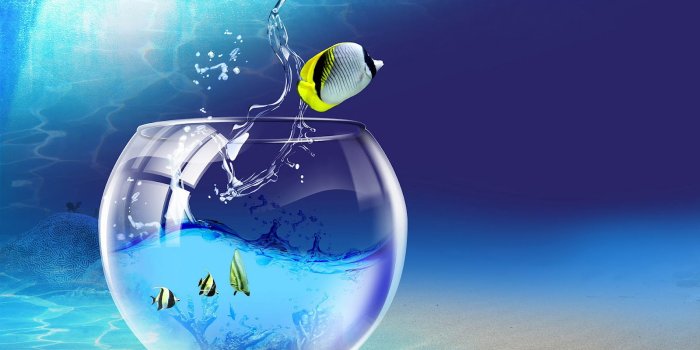 1600x1000 Achtergronden Wallpaper - Whatsapp Profile Pic On Nature (#200620) - HD  Wallpaper & Backgrounds Download