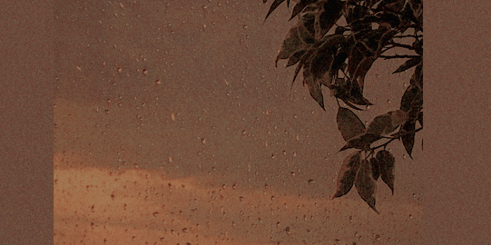 750x1334 Brown Aesthetic Wallpaper - NawPic