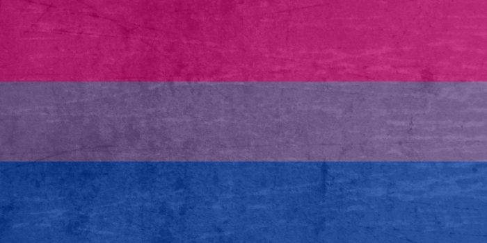 1280x1024 Bisexual Flag Wallpapers Desktop Background