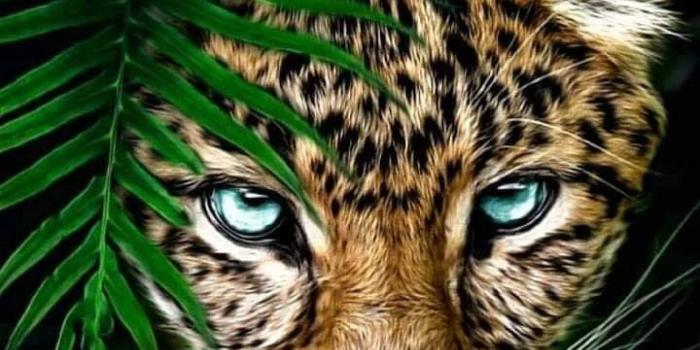 720x1159 HD Cute Animals Wallpaper - EnWallpaper