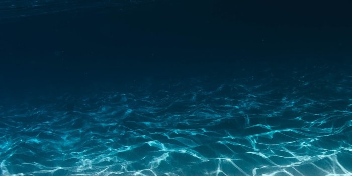 1000x1333 Underwater Background Pictures | Download Free Images on Unsplash