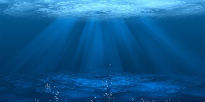 1920x1080 underwater free desktop wallpaper | Underwater background, Underwater  wallpaper, Underwater images