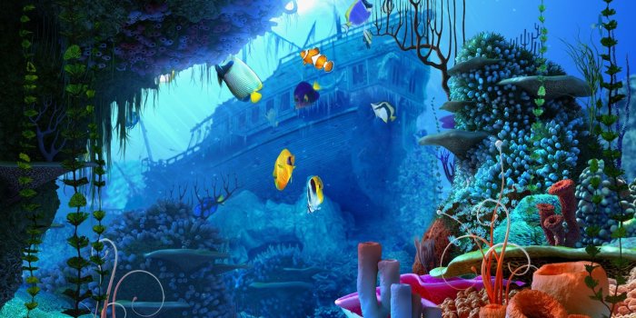 1920x1200 Underwater Wallpaper Hd - 1920x1200 Wallpaper - teahub.io