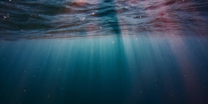 4000x3000 Underwater · Free Stock Photo