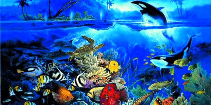 1600x1157 47+] Ocean Underwater Wallpaper on WallpaperSafari