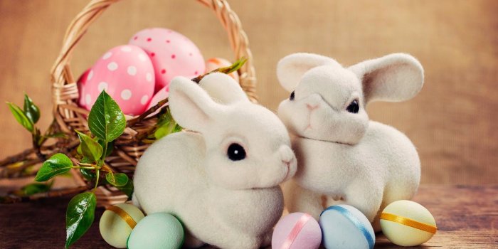 1600x1212 21 Easter Eggs with Rabbit Wallpapers - Wallpaperboat