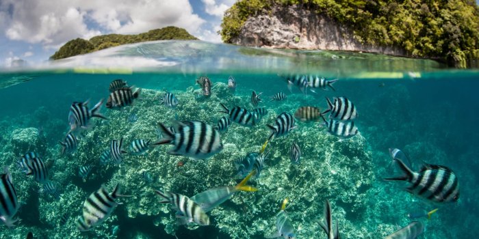 1920x1280 My Underwater Ocean HD Wallpapers New Tab - MyStart