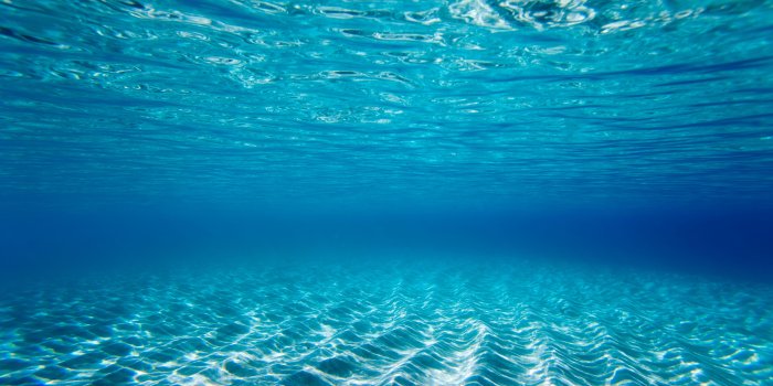 6144x4096 underwater wallpaper 14 - 6144x4096 pixel - WallpaperPass