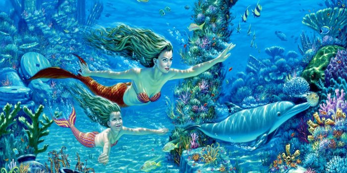 2560x1920 Wallpaper's Collection: «Underwater Wallpapers»