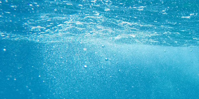 750x1334 Underwater iPhone Wallpaper | iDrop News