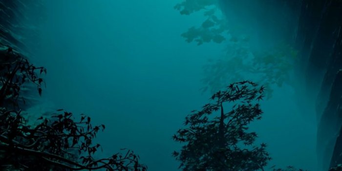 768x1366 underwater wallpaper - Free Desktop Backgrounds - WallpaperPass