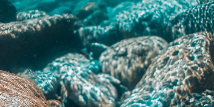 1125x2436 underwater photography of brown stones iPhone X Wallpapers Free Download