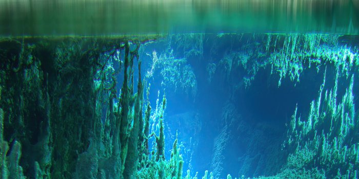 1125x2436 1125x2436 Milkyway Underwater 4k Iphone XS,Iphone 10,Iphone X HD 4k  Wallpapers, Images, Backgrounds, Photos and Pictures