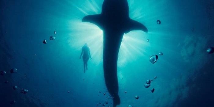 3000x1875 Wallpaper 4k Whale Model Underwater Wallpaper