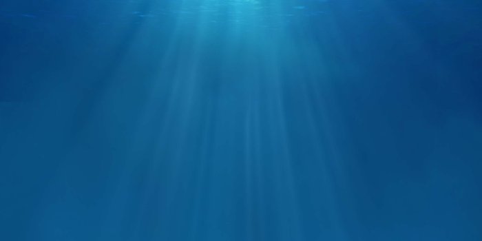 3072x4096 Phone Wallpaper Underwater - 3072x4096 Wallpaper - teahub.io