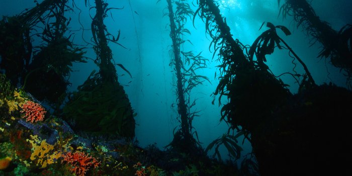 1920x1080 Photography Underwater HD Wallpaper | Background Image | 1920x1080