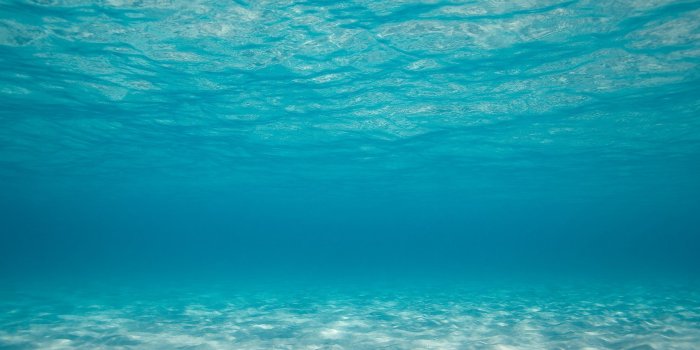 1920x1080 Wallpapers Under Water Group (78+)