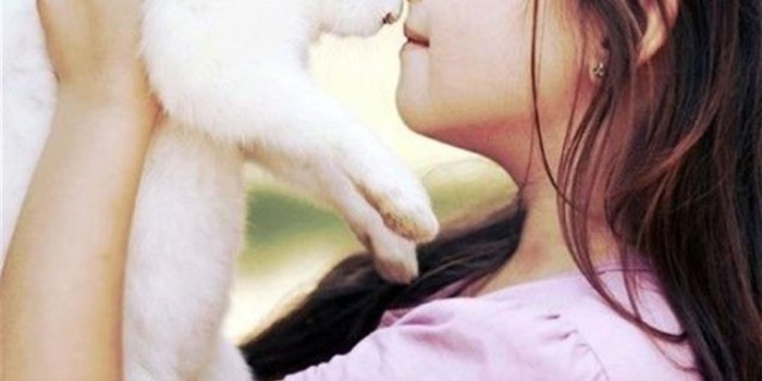 750x1334 Cute Naive Close To White Rabbit iPhone 8 Wallpapers Free Download