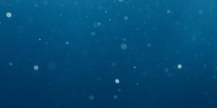 1125x2436 Bubble underwater iPhone X Wallpapers Free Download