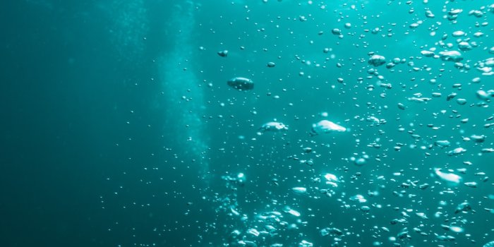 1000x1500 100+ Underwater Images | Download Free Images & Stock Photos on Unsplash