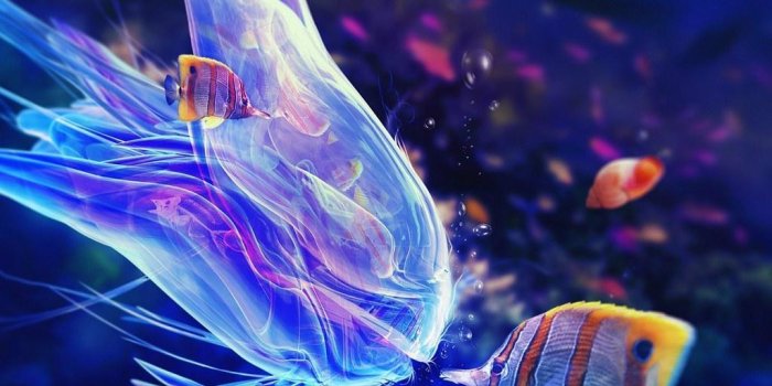 1024x1024 UNDERWATER Wallpaper HD for Android - APK Download