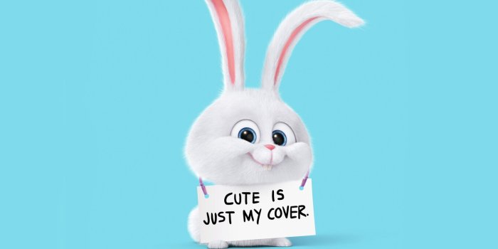 1360x768 1360x768 The Secret Life Of Pets Rabbit Laptop HD HD 4k Wallpapers, Images,  Backgrounds, Photos and Pictures