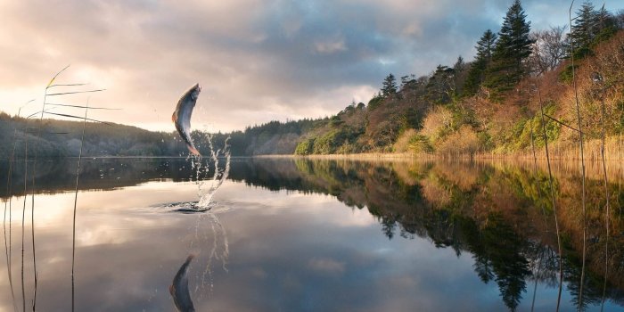 1920x989 Fishing Wallpapers - Top Free Fishing Backgrounds - WallpaperAccess