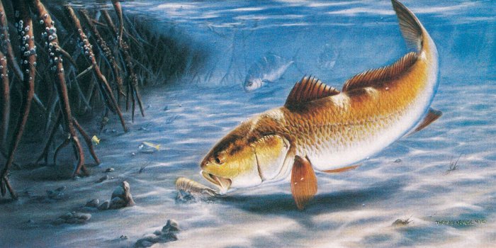 3001x1500 Fishing Wallpaper - NawPic