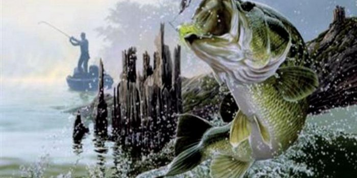 1024x768 Free Bass Fishing Wallpapers