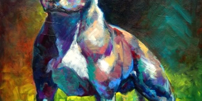 808x1023 47+] Pitbull Screensavers and Wallpaper on WallpaperSafari