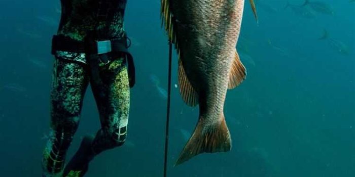 750x1334 Fishing Wallpaper - EnJpg