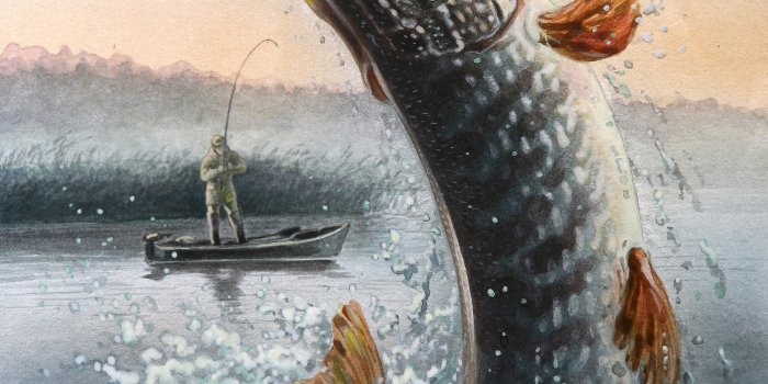 2480x3508 Download Wallpapers, Download fishing pikes Animals HD Wallpaper,Hi Res  Animals Wallpaper,High Definition Wallpapers