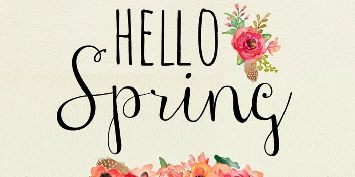 1080x1920 Hello Spring Wallpapers for Iphone Mobile - PixelsTalk.Net