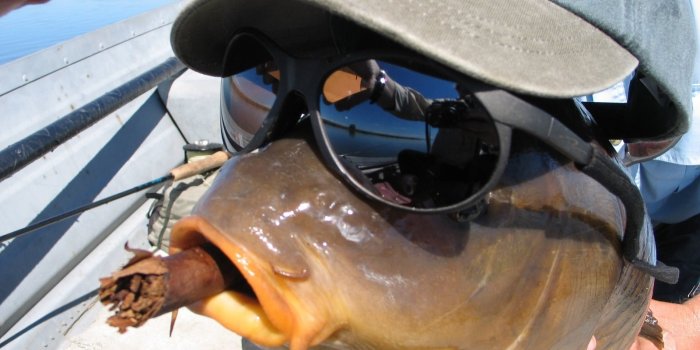 1600x1200 Catfish Fishing Wallpaper Images Desktop Background