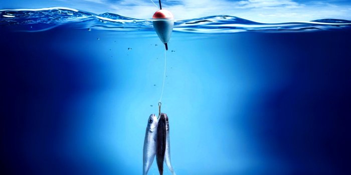 1920x1080 Fishing wallpaper | 1920x1080 | #3329