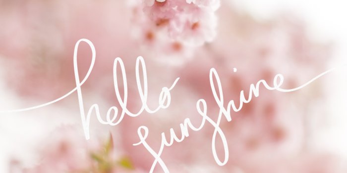 1536x2048 Iphone Wallpaper Hello Beautiful - 1536x2048 Wallpaper - teahub.io