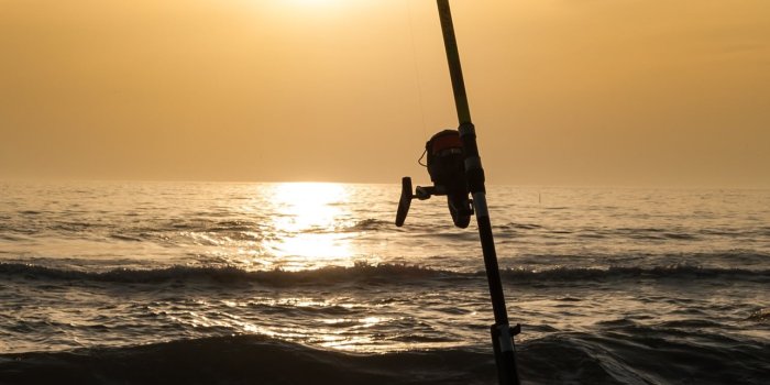 1284x2778 Best Fishing iPhone HD Wallpapers - iLikeWallpaper