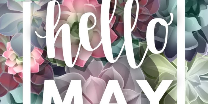 1080x1920 Hello May Wallpaper - KoLPaPer - Awesome Free HD Wallpapers