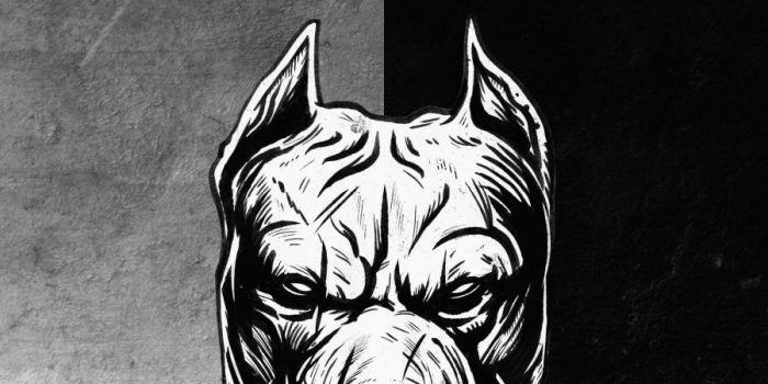 700x1244 Beard King Wallpaper - iPhone Wallpapers : iPhone Wallpapers | Pitbull art,  Pitbull dog, Dark phone wallpapers