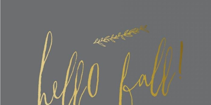 1080x1800 ✓[55+] Hello Autumn Aesthetic HD Wallpapers (Desktop Background / Android /  iPhone) (1080p, 4k) (1080x1800) (2022)