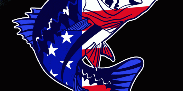 800x1334 Bass Fishing Live Wallpaper posted by John Walker