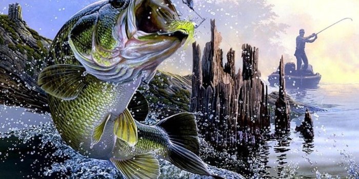 1024x768 Fishing Wallpaper For Android posted by John Sellers