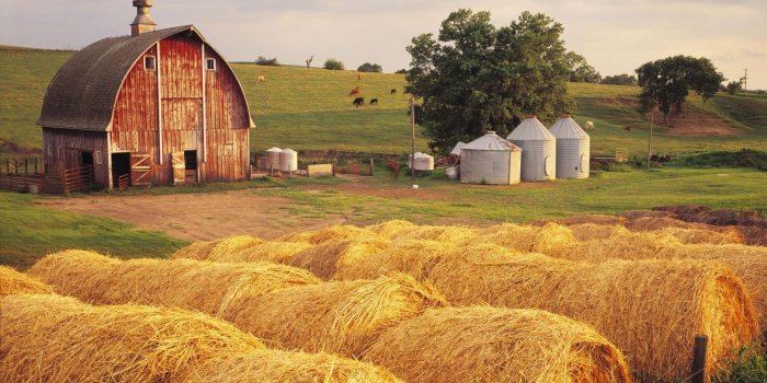 1920x1080 40+ Farm HD Wallpapers | Background Images
