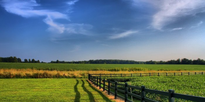 1920x1080 Farm Wallpapers - Top Free Farm Backgrounds - WallpaperAccess