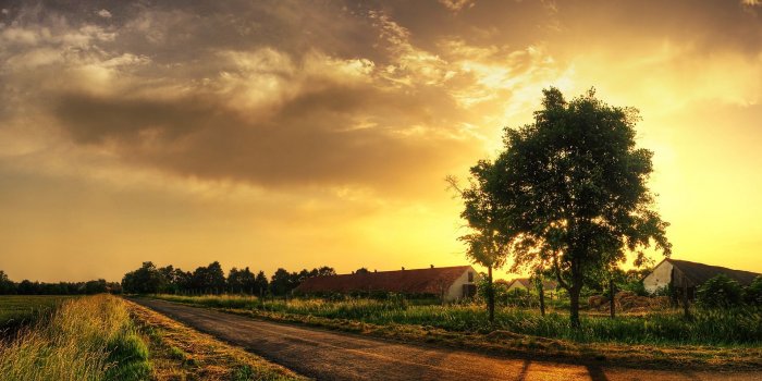 1920x1200 Farm Desktop Wallpapers - Top Free Farm Desktop Backgrounds -  WallpaperAccess