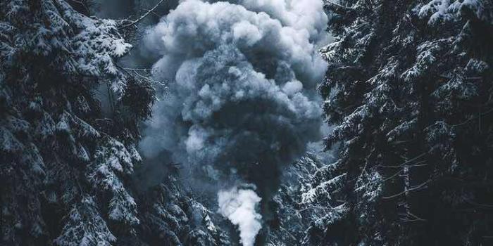 736x1104 Winter Train Wallpapers - Top Free Winter Train Backgrounds -  WallpaperAccess