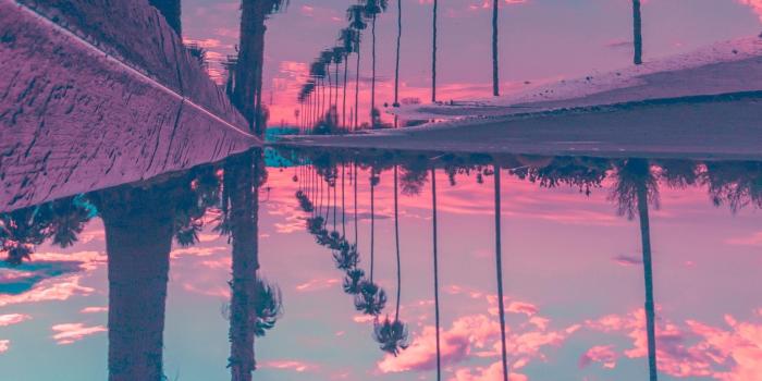 2160x3840 Palm Trees Reflection Sky HD Wallpapers