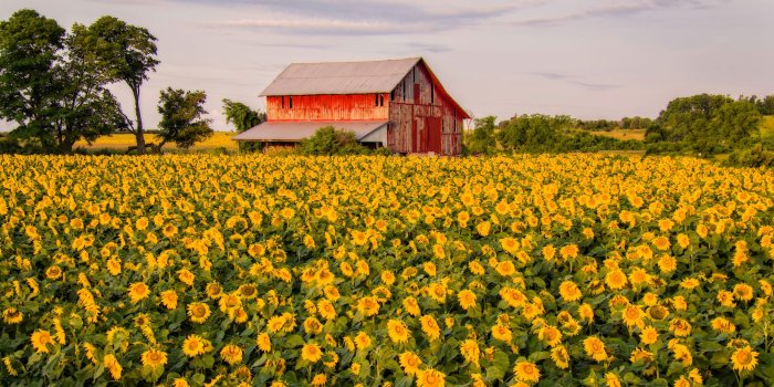 2560x1919 20 Most Beautiful Farm Background Wallpaper of 2022 - Farmhacker.com