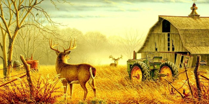 1920x1200 Fall Country Farm Wallpapers - 4k, HD Fall Country Farm Backgrounds on  WallpaperBat