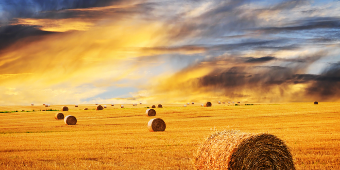 1600x1200 46+] HD Farm Wallpaper on WallpaperSafari